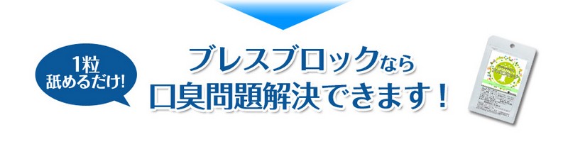 �u���X�u���b�N���T�C�g